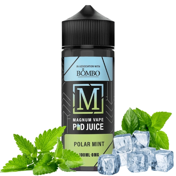 elf bar vape uk Vuse GO 1000 Polar Mint Flavour Disposable Vape